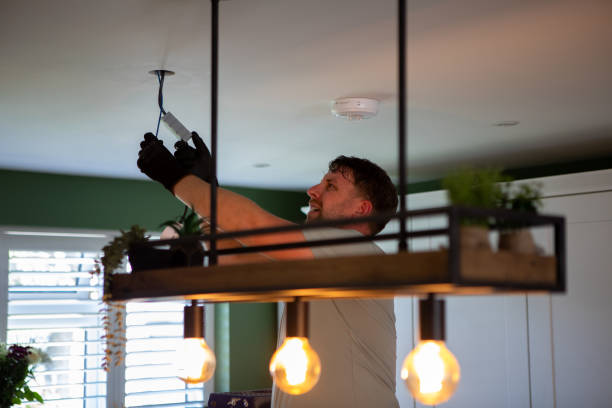 Best Home Electrical Repair  in Rockton, IL
